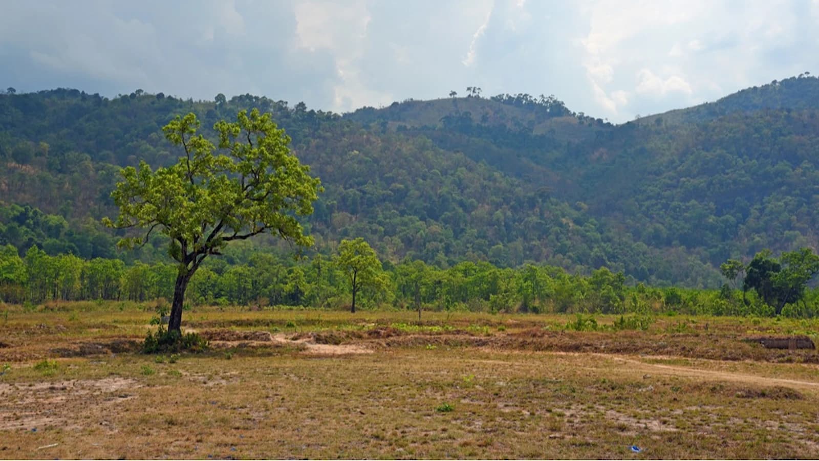 LZ X-Ray battlefield in Vietnam’s Central Highlands — location of the intense first major U.S. engagement of the Vietnam War in November 1965. Featured on our Essential Vietnam optional extension.