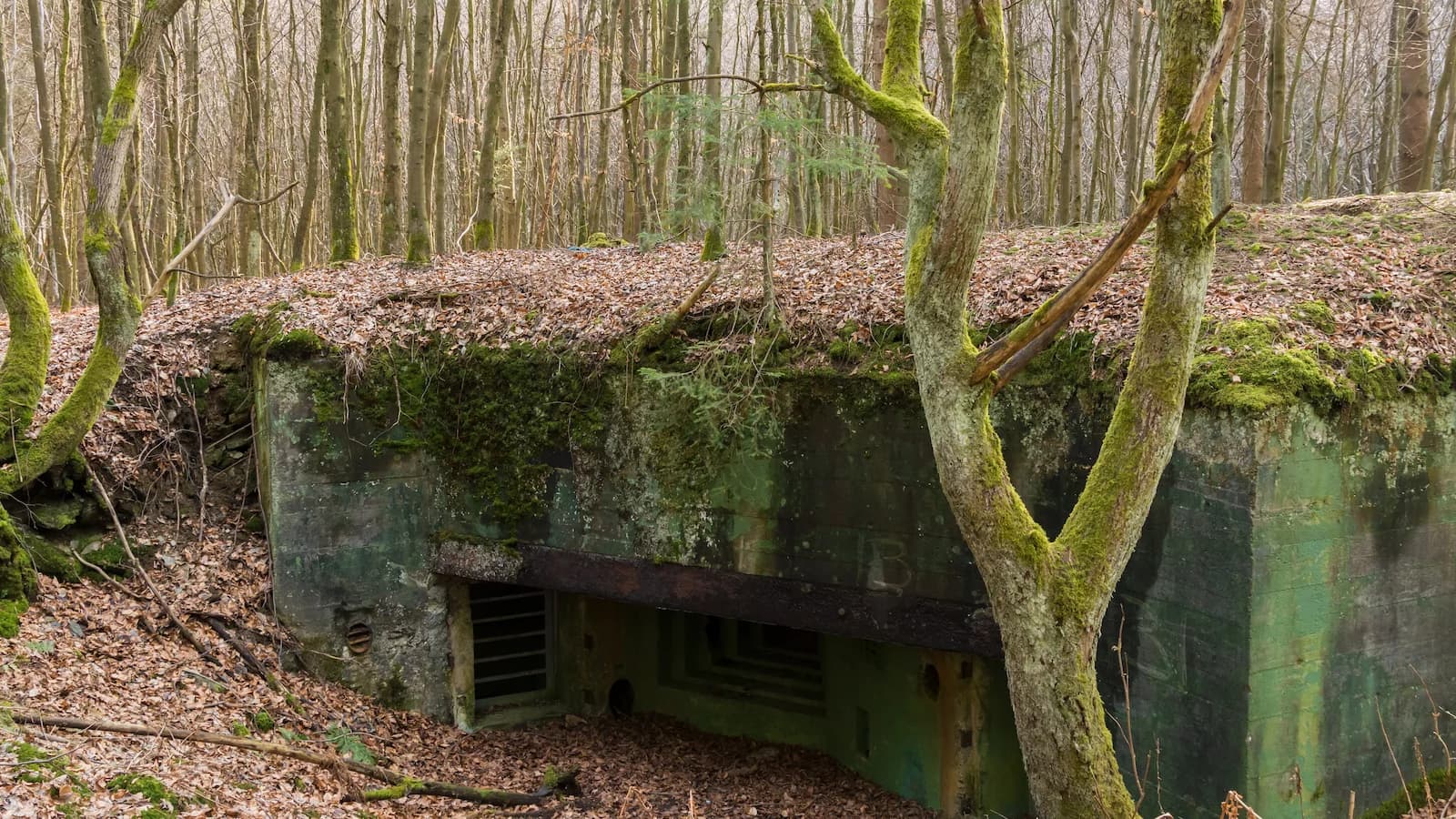 German concrete bunker hidden in the dense Hürtgen Forest, Germany. A sobering reminder of the intense fighting in this forbidding terrain on our Battle of the Bulge 85th Anniversary expedition.