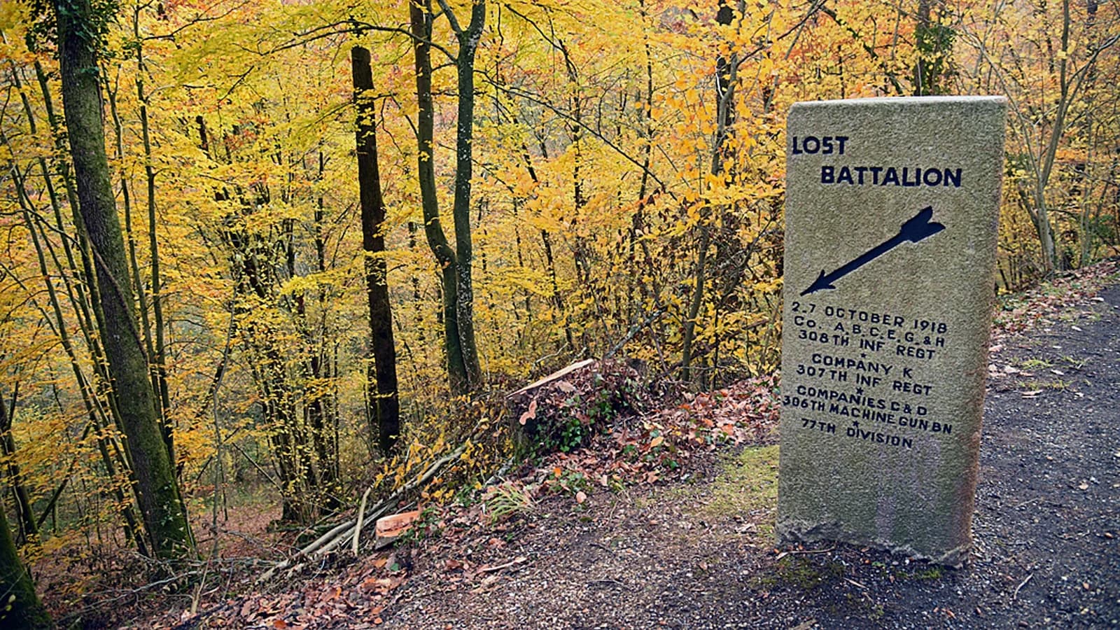 Site associated with the Lost Battalion in the Argonne Forest. Famous for the heroic stand of the 77th Division in October 1918 during the Meuse-Argonne Offensive.