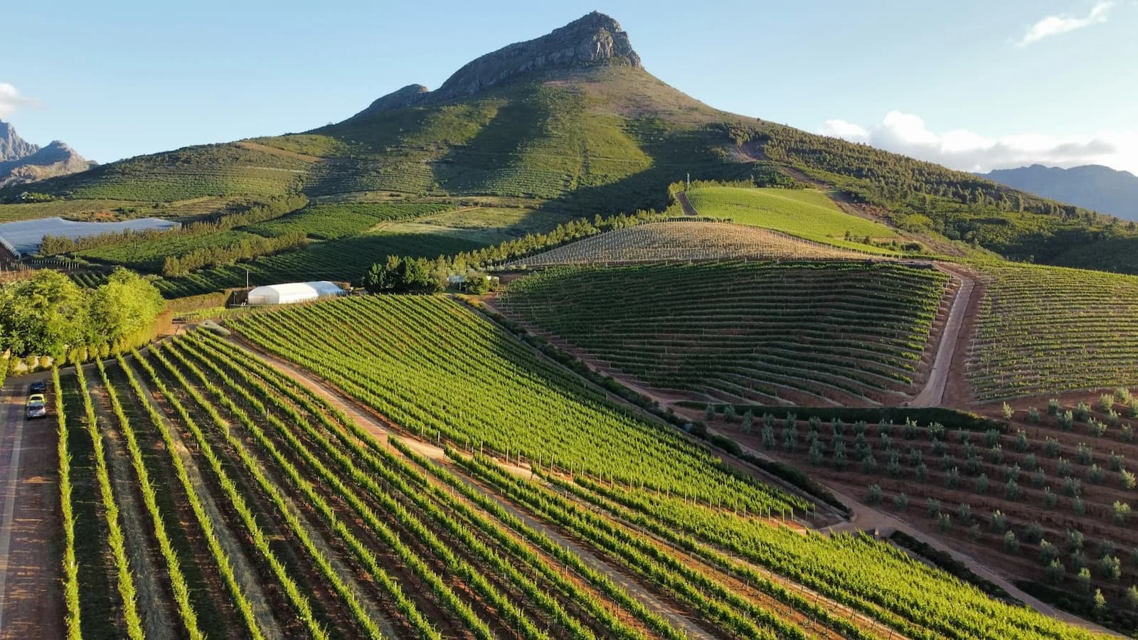 Stunning vineyard landscape in the Stellenbosch Winelands with dramatic mountain backdrop, a highlight of the Cape Winelands portion of this South Africa history and culture tour.