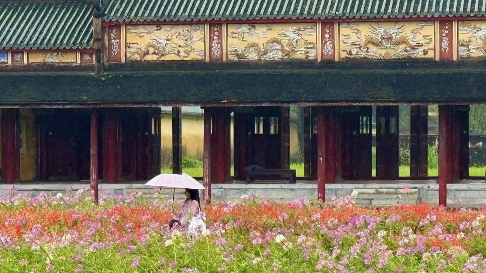 Historic architecture and moat within the Imperial Citadel of Hue. This former royal capital offers deep insight into Vietnam’s imperial past during our February 2028 expedition.