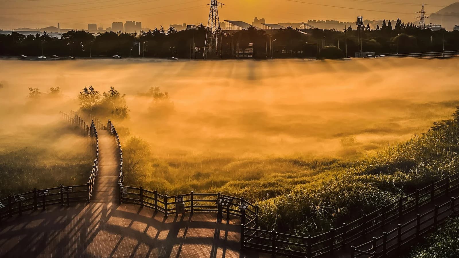 Foggy sunrise over the Daemyung Detention Basin in Daegu, South Korea’s fourth largest city and a critical location during the early Korean War, visited on Essential History Expeditions’ tour.
