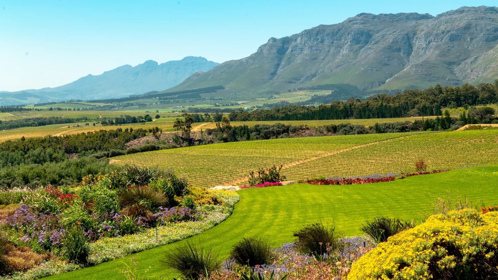 Lush gardens and rolling vineyards in Stellenbosch, showcasing the natural beauty of the Cape Winelands visited during this South Africa expedition.