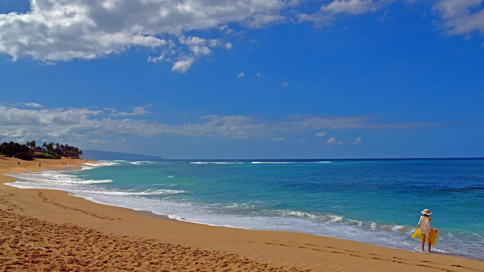 Scenic view of an Oahu beach. A classic Hawaiian landscape.