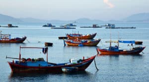 Nha Trang Vietnam Fishing Boats Tour