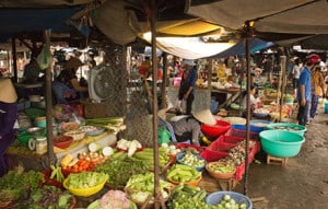 Vietnam tours